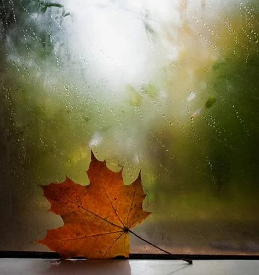 Годы уходят. Годы!!