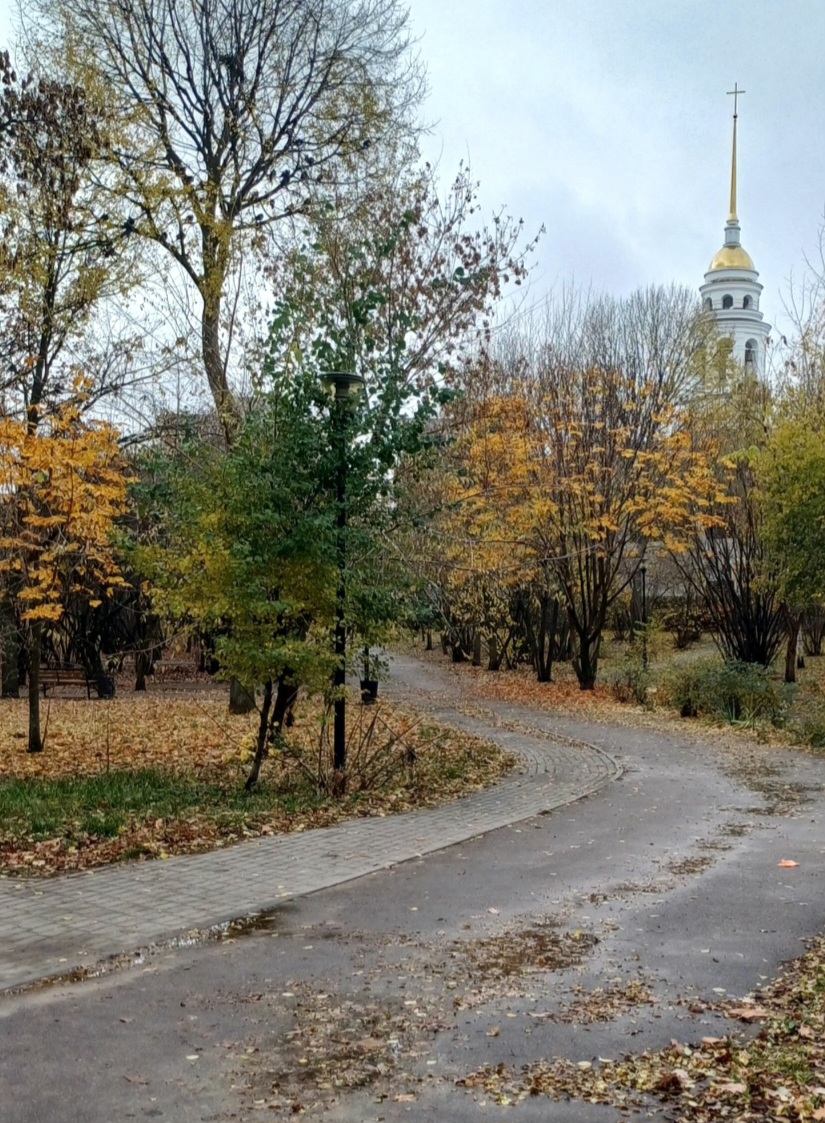 Осени краски