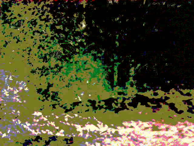 Сонеты осени