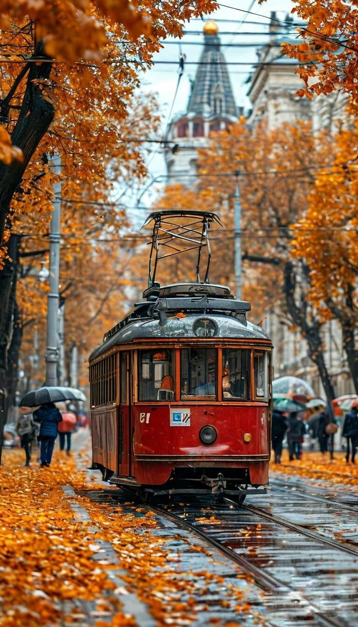 Осеннее Утро. Зарисовка...