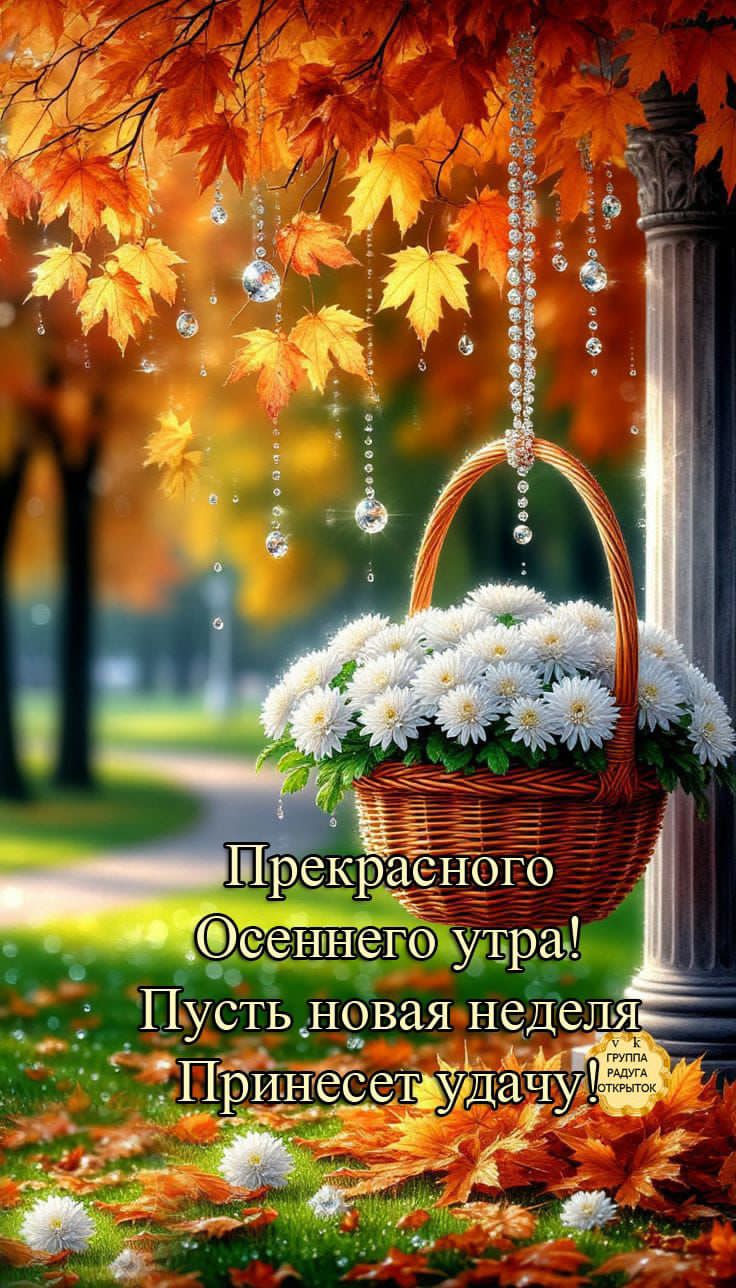 Неразумное счастье