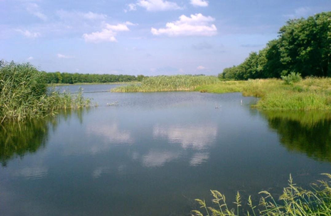 Друзьям своим хочу я передать привет...