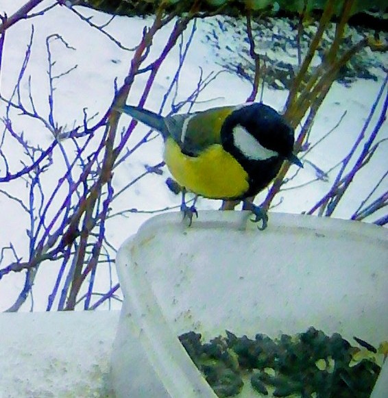 Рецензия на Вопросы О. Каширского