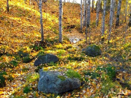 Узнать эту новость, что будет опять...