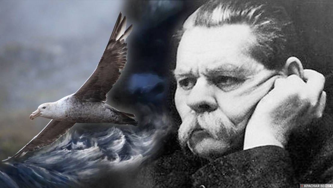 Перерождение буревестника