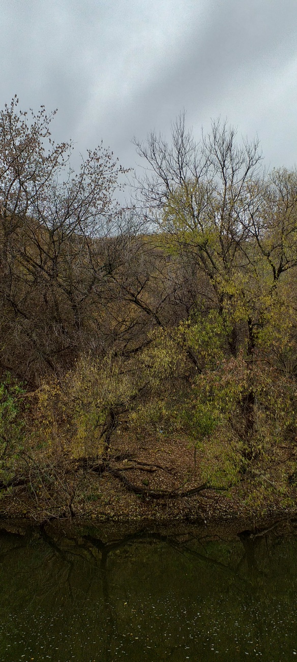 Увидеть отраженье