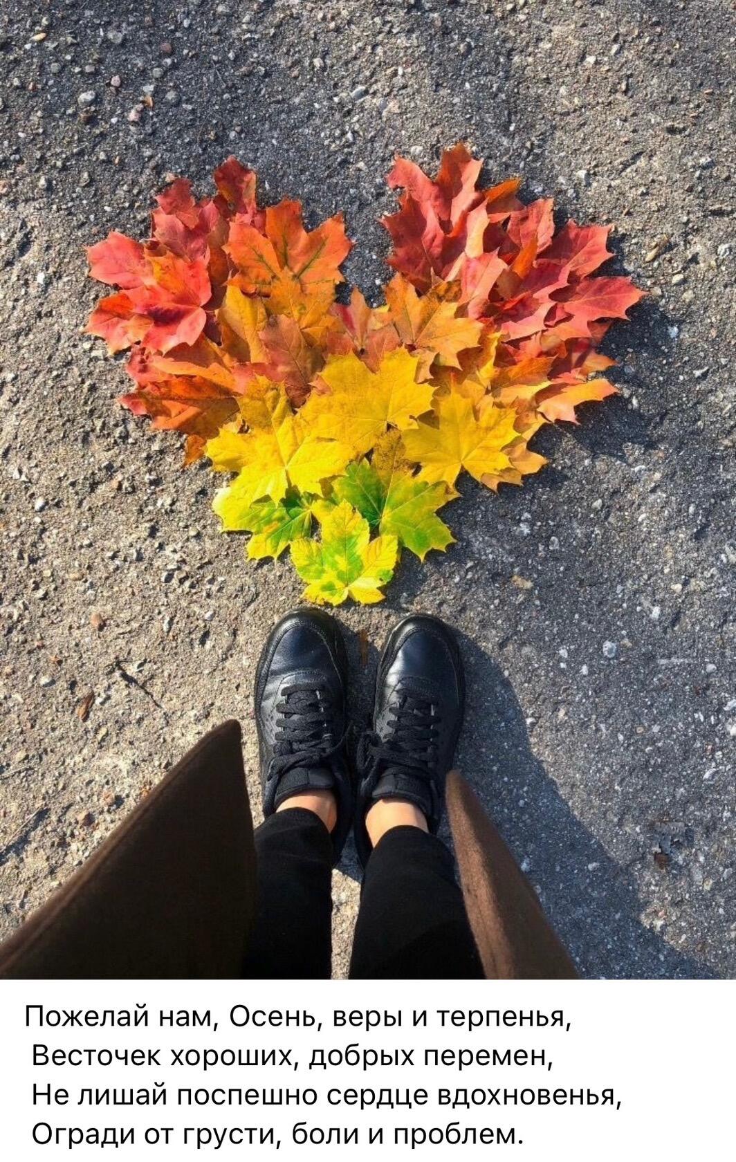 Осень вдохнови