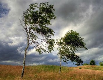 Завывает Осенний ветер