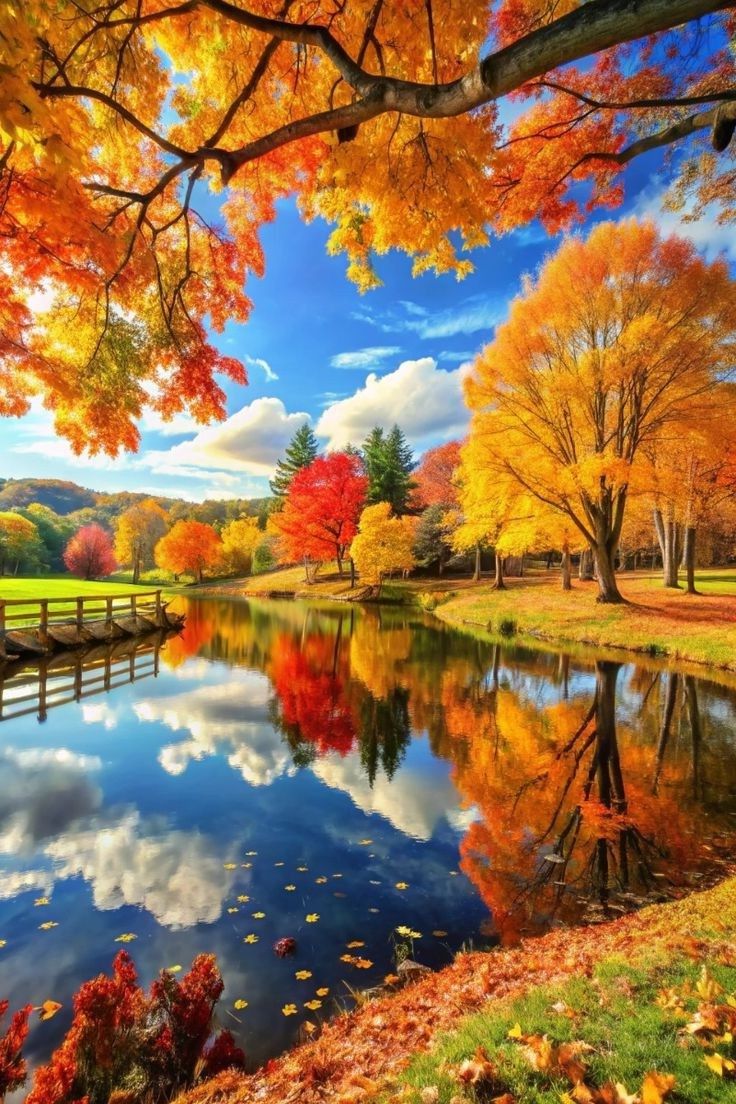 Осень - художница