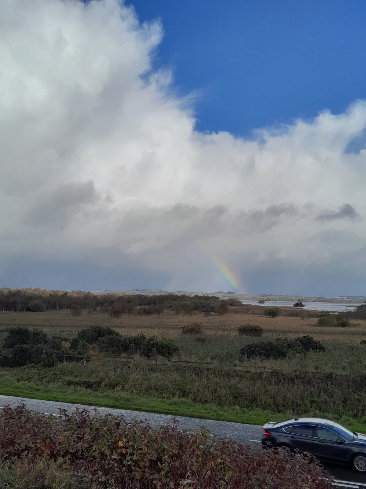 Кучерявые облака