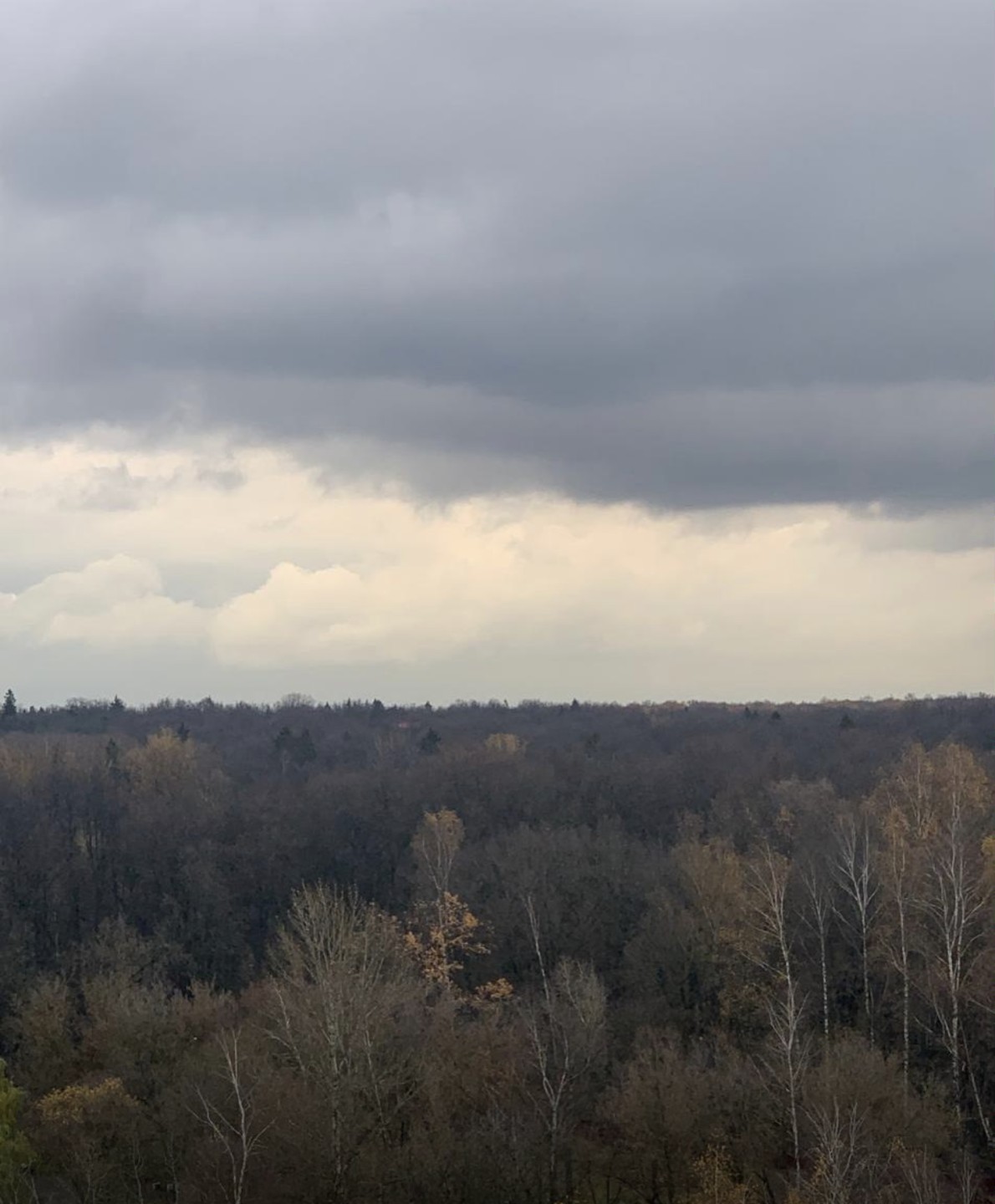 Под взглядом серых облаков...