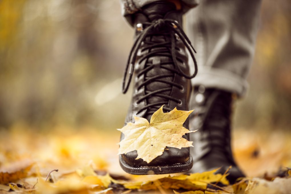 Стриптизеры