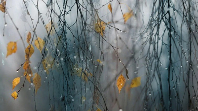 Кто сказал, что осень злая?