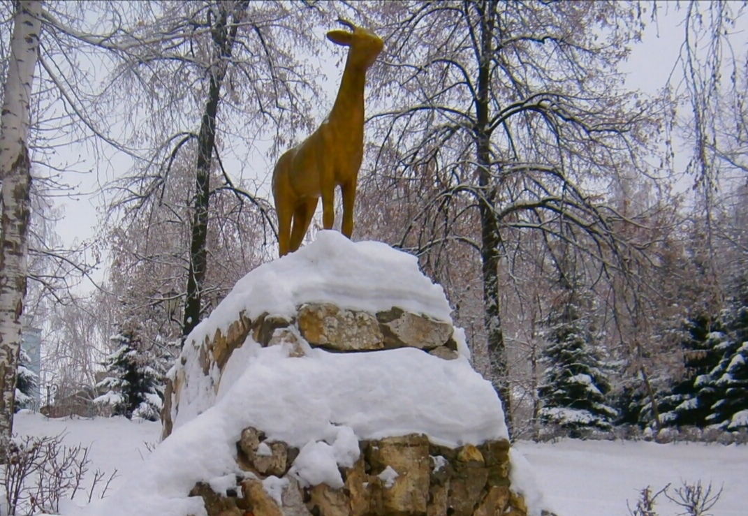Зима в Струковском саду