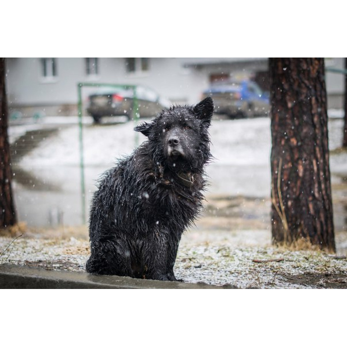 Во мне ни капли зла...