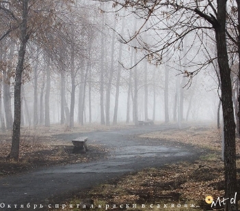 Октябрь спрятал краски в саквояж...