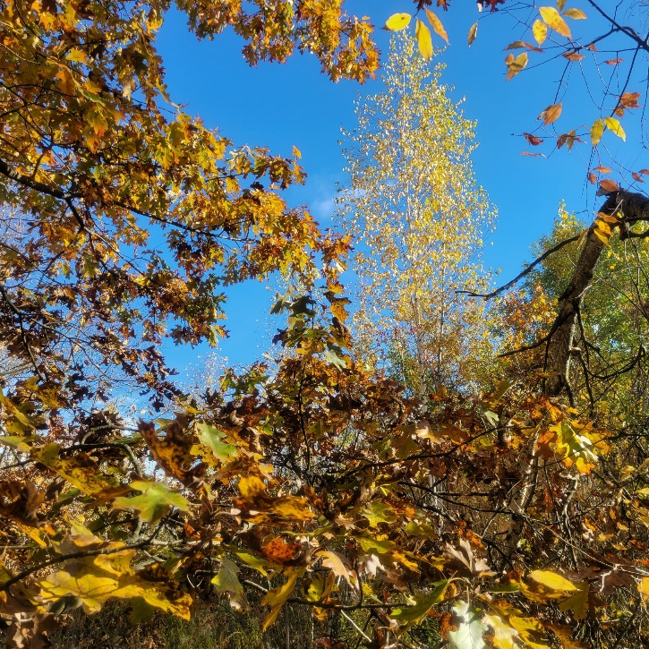 В сарафане ярком