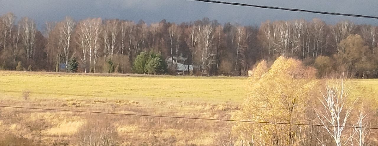 Берёзоньки