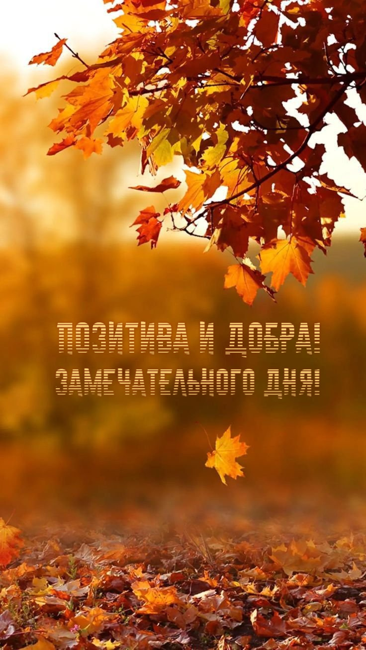 Всем наилучшего дня. Акростих