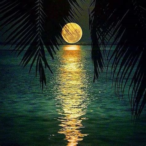 Море волнуется, шумит