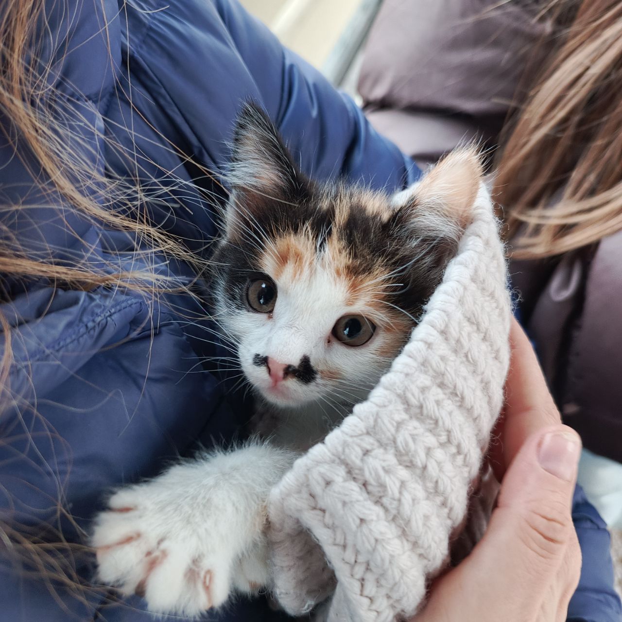 Котенька-мурлыка