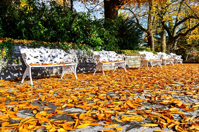 Прощай, октябрь!