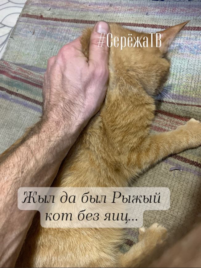 Жыл да был рыжый кот