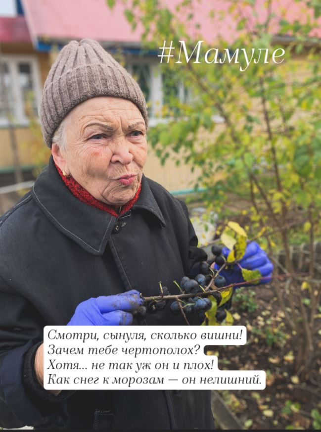 Смотри, сынуля, сколько вишни!