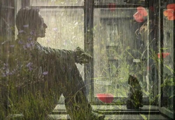 Песни дождей