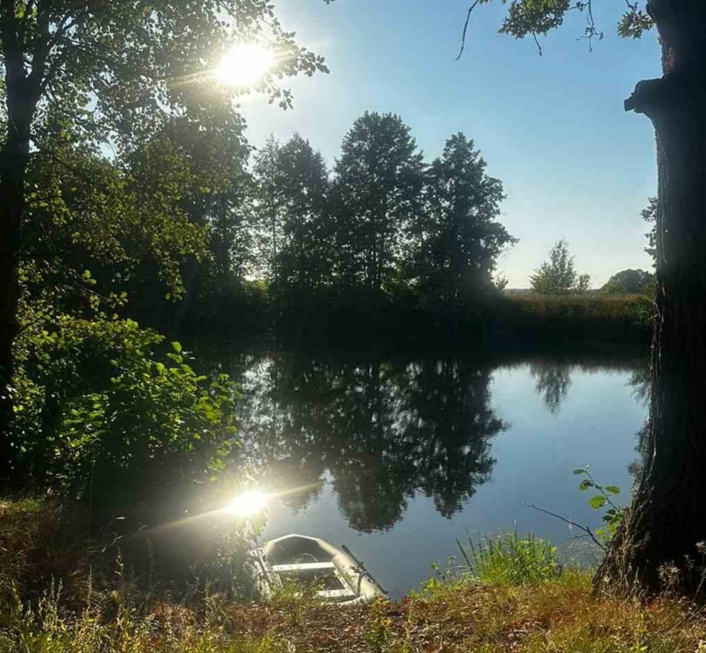 Любуюсь вновь пейзажем лета...