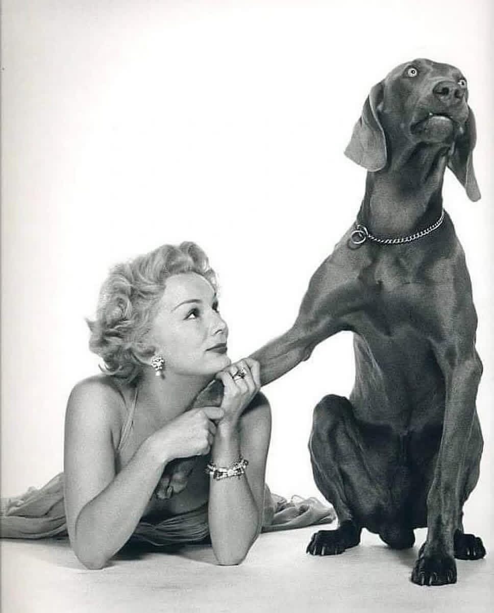 Нравится блеска новь