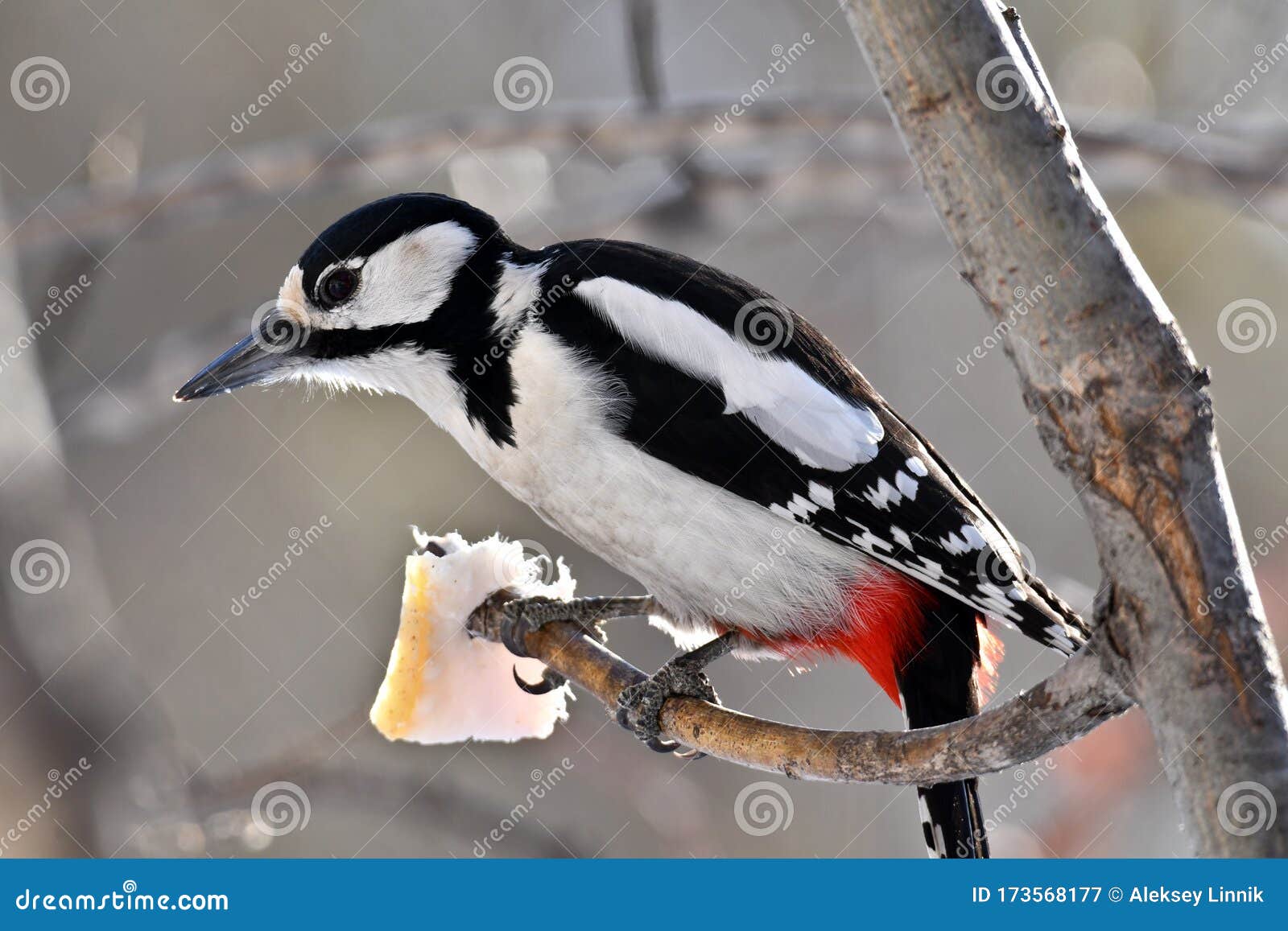 В красной ермолке