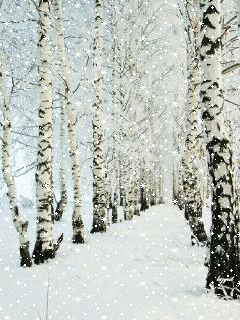 Первый снег