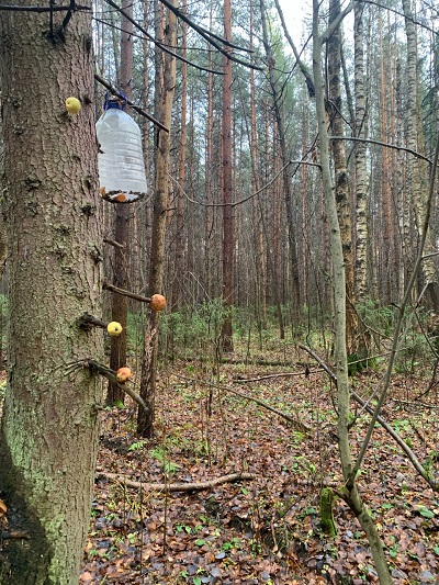 Дождик осенью невесел...