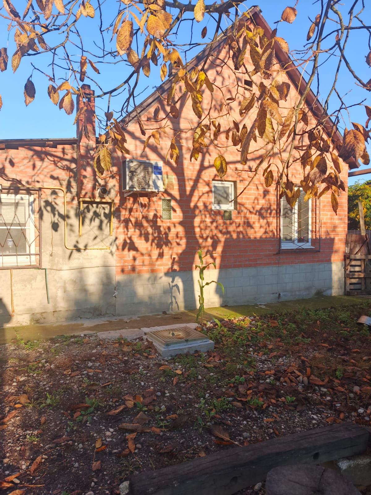 Всё вокруг осеннее, всё вокруг моё