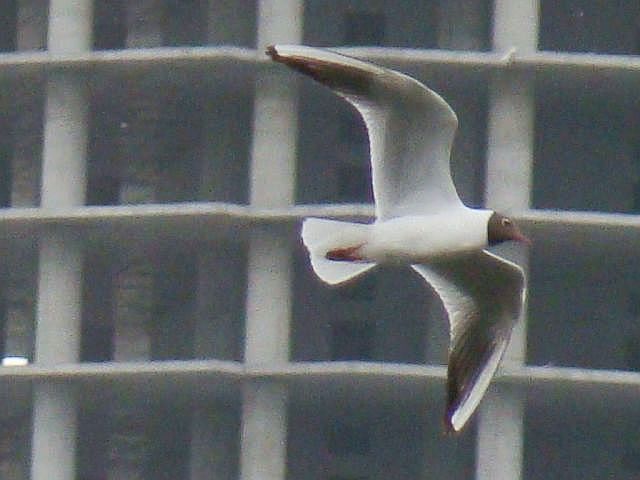 Толковать толкование текста