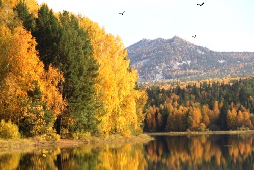 Рифма к Рифме