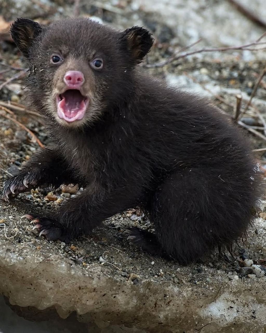 15 мая 2025 с505