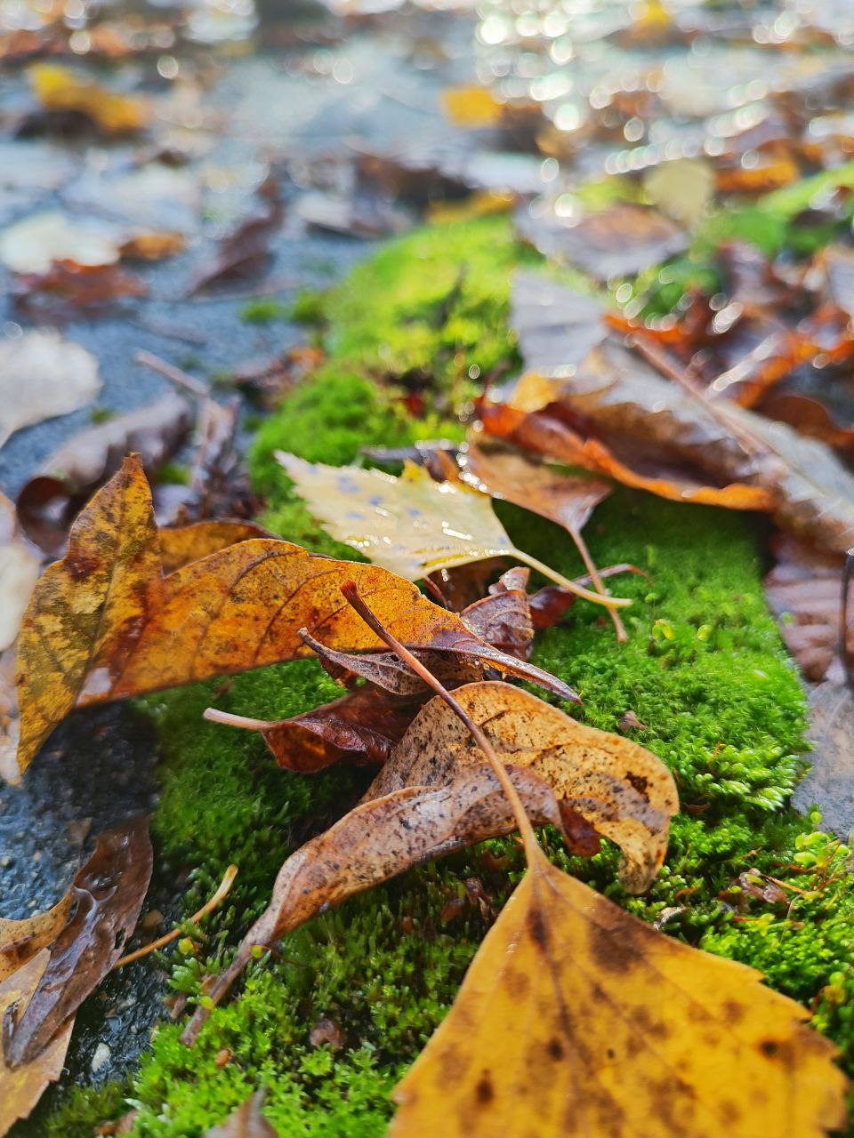 Не наша это уж пора