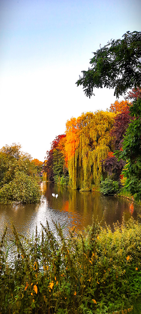 Оставить всё