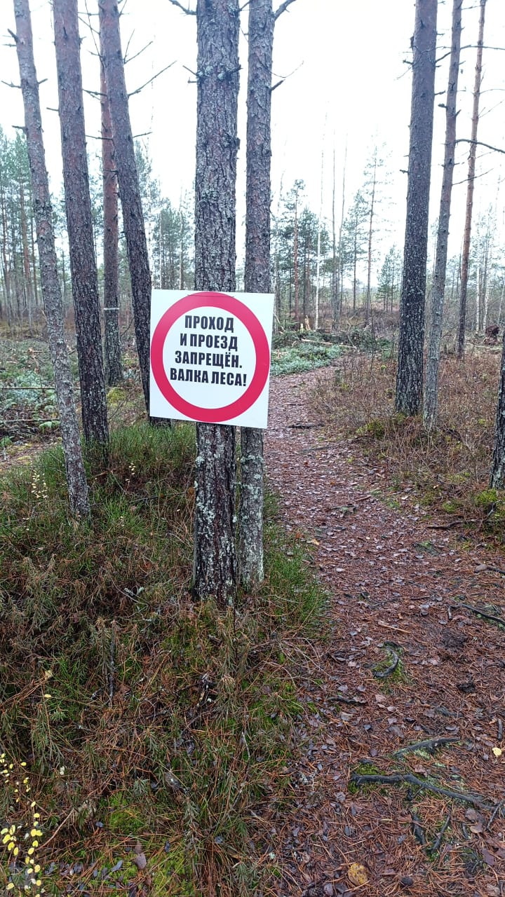 Пропала милая тропа