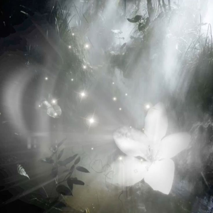 Свобода внутри