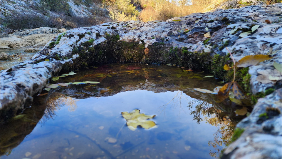 Афоризмы 2623