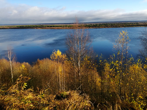 справлюсь, думала...