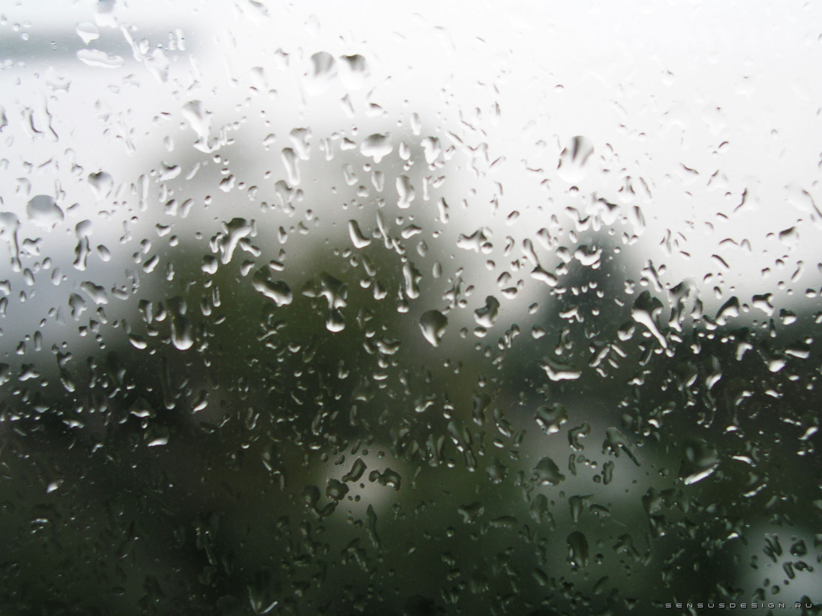 376ф-ок2. Конец октября - 2023