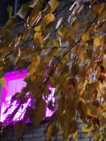 Окно мерцало волшебством