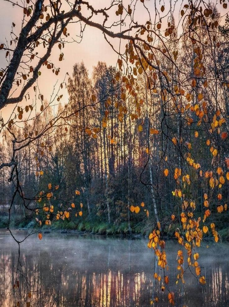 Сегодня осень рассказала сказку...