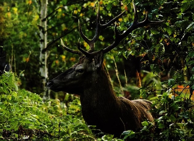 Белоруссия