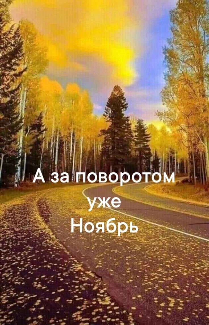Октябрь месяц на исходе...