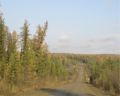 Тили. Тили. Лилипутия